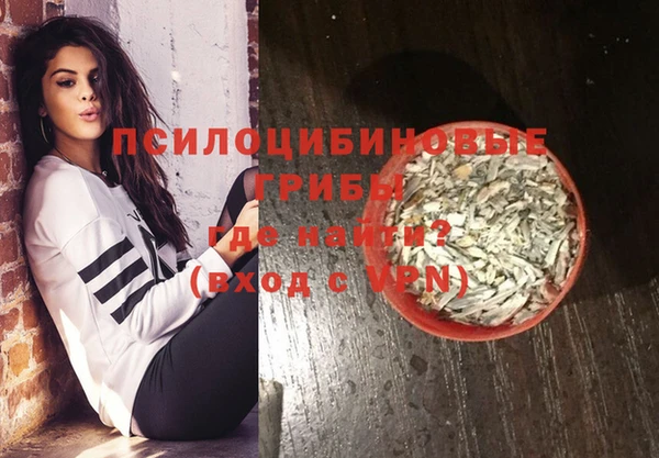 дурь Богородск