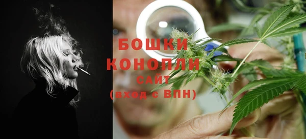 стафф Богданович
