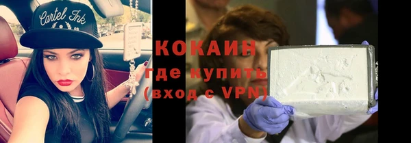 стафф Богданович