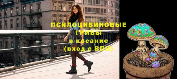 стафф Богданович