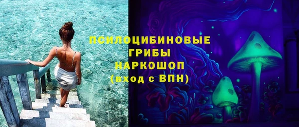 стафф Богданович