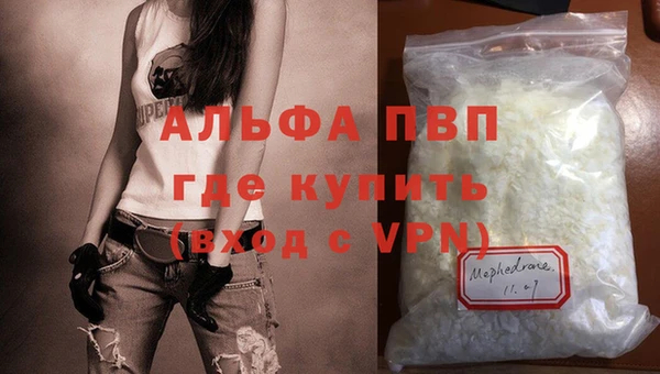 стафф Богданович