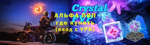 стафф Богданович