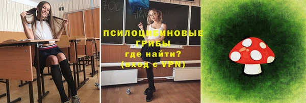 стафф Богданович