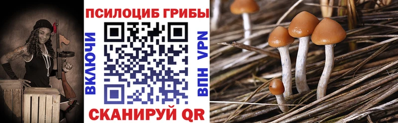 что такое наркотик  Приволжский  Галлюциногенные грибы Psilocybine cubensis 